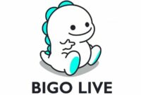 bigo live pro mod apk