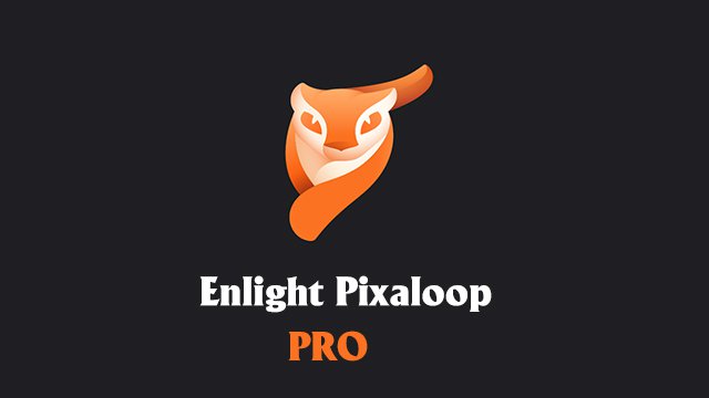 Enlight Pixaloop MOD APK