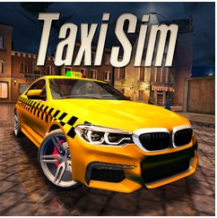 Taxi-Sim
