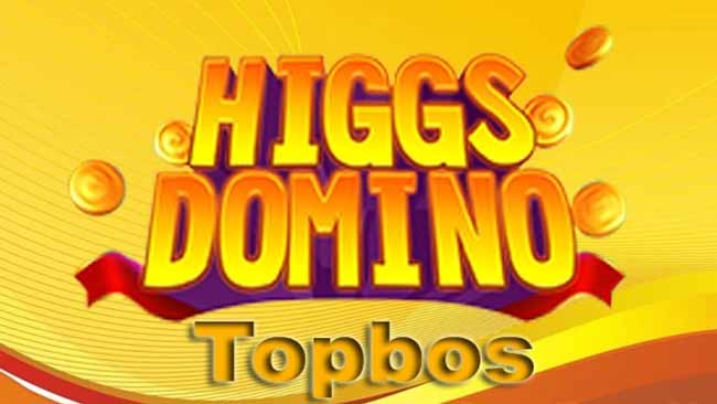 Higgs Domino Topbos Mitra Chip 1M